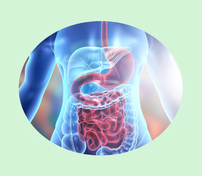 Gastro-Intestinal